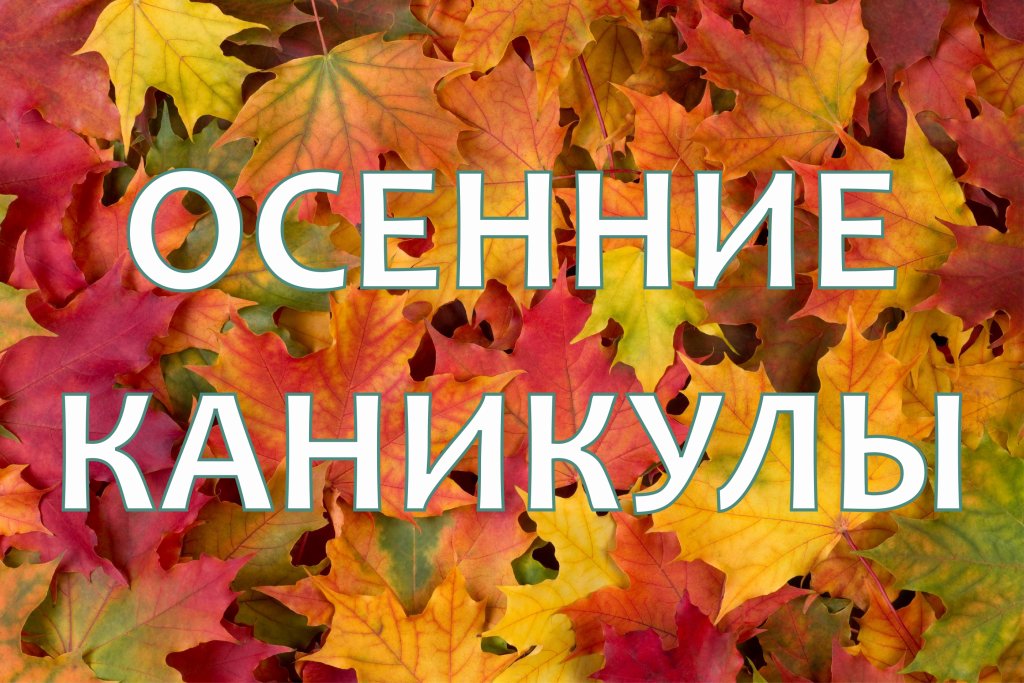 Ура! Каникулы!.